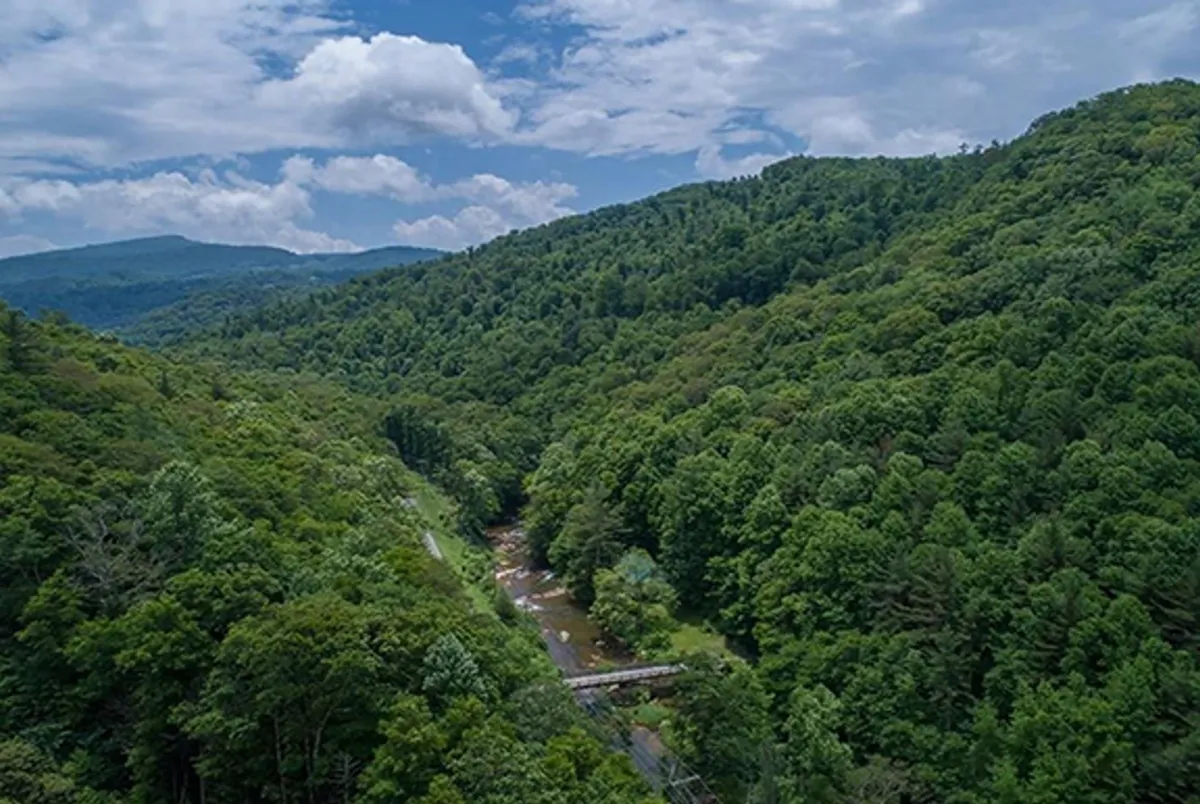 This scenic view features lush green mountains, a meandering river, and a wooden bridge, evoking the adventurous spirit of hiking, nature walks, and outdoor activity. It highlights the accessible natural amenities and broader recreational opportunities available to guests and owners.